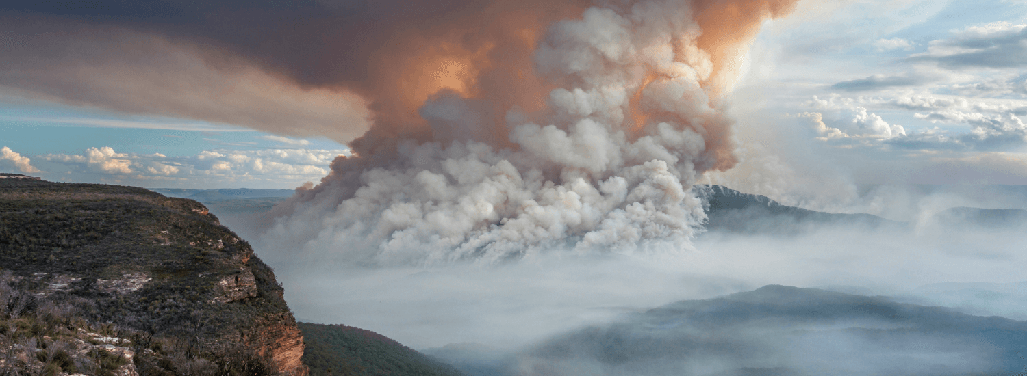 Bushfire in a rural area